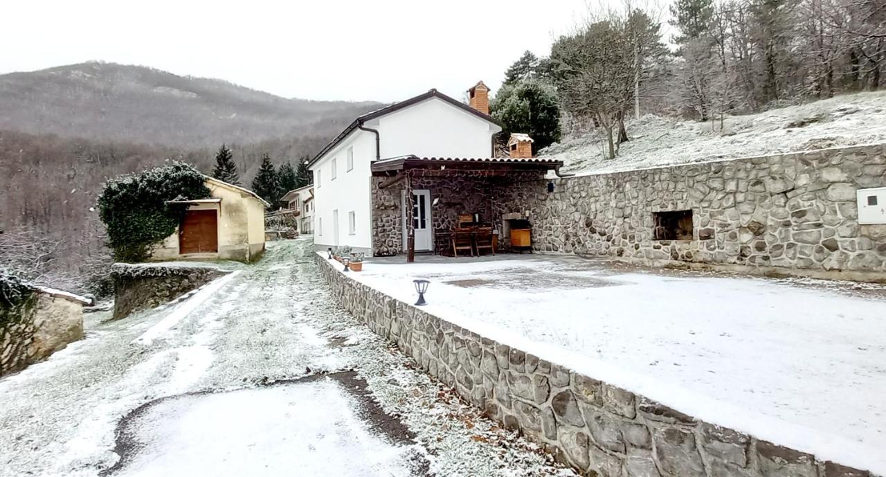 Guest House 'Villa Fani' Veprinac With Jacuzzi Exterior photo