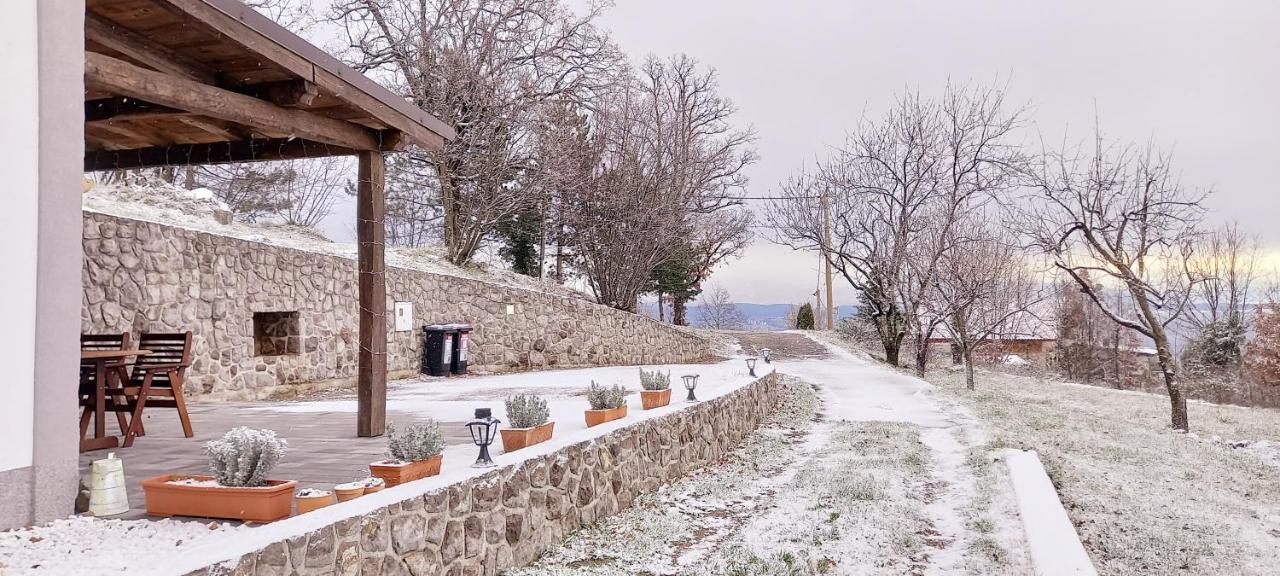 Guest House 'Villa Fani' Veprinac With Jacuzzi Exterior photo